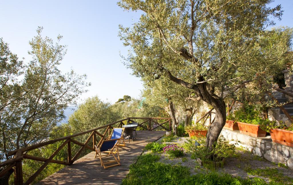 Villa Angelina Massa Lubrense Exteriör bild